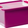 Violette Aufbewahrungsbox Bi S mit Deckel und transparentem Sichtfenster.