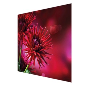 Banjado Herdabdeckplatte Glas mit roten Dahlien, 60x52 cm. Schneidebrett und Spritzschutz.