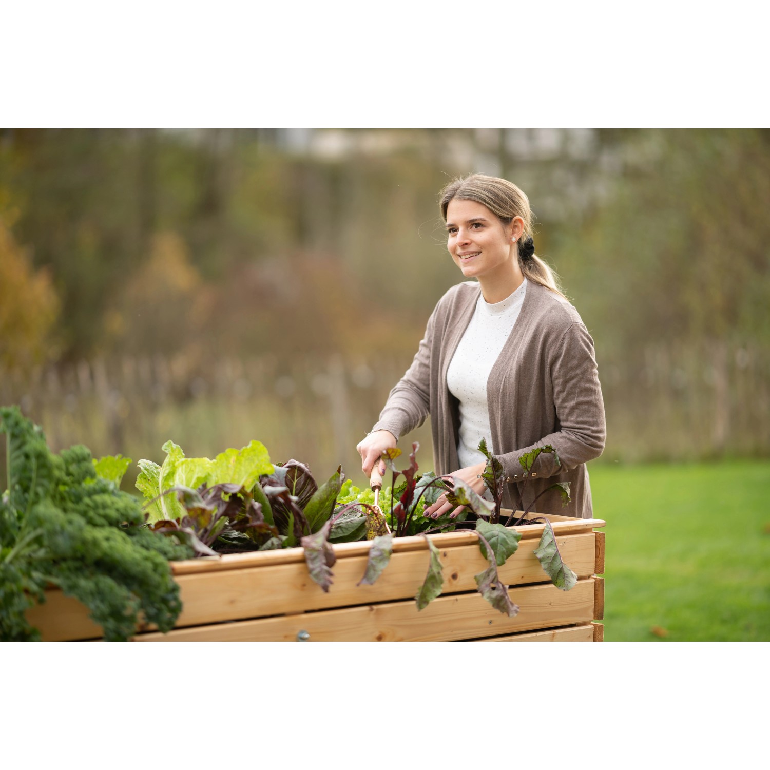 Frau gärtnert im Westmann Hochbeet Holz Fichte XL mit Salat und Gemüse.