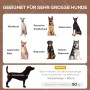 Geeignet für sehr große Hunde: Windhund, Schäferhund, Dobermann, Akita, Rottweiler, Malamute.