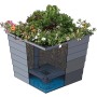 WaterUps Pflanzkübel, 48x48x43 cm, hellbraun, mit Wasserspeicher-System und Bepflanzung.