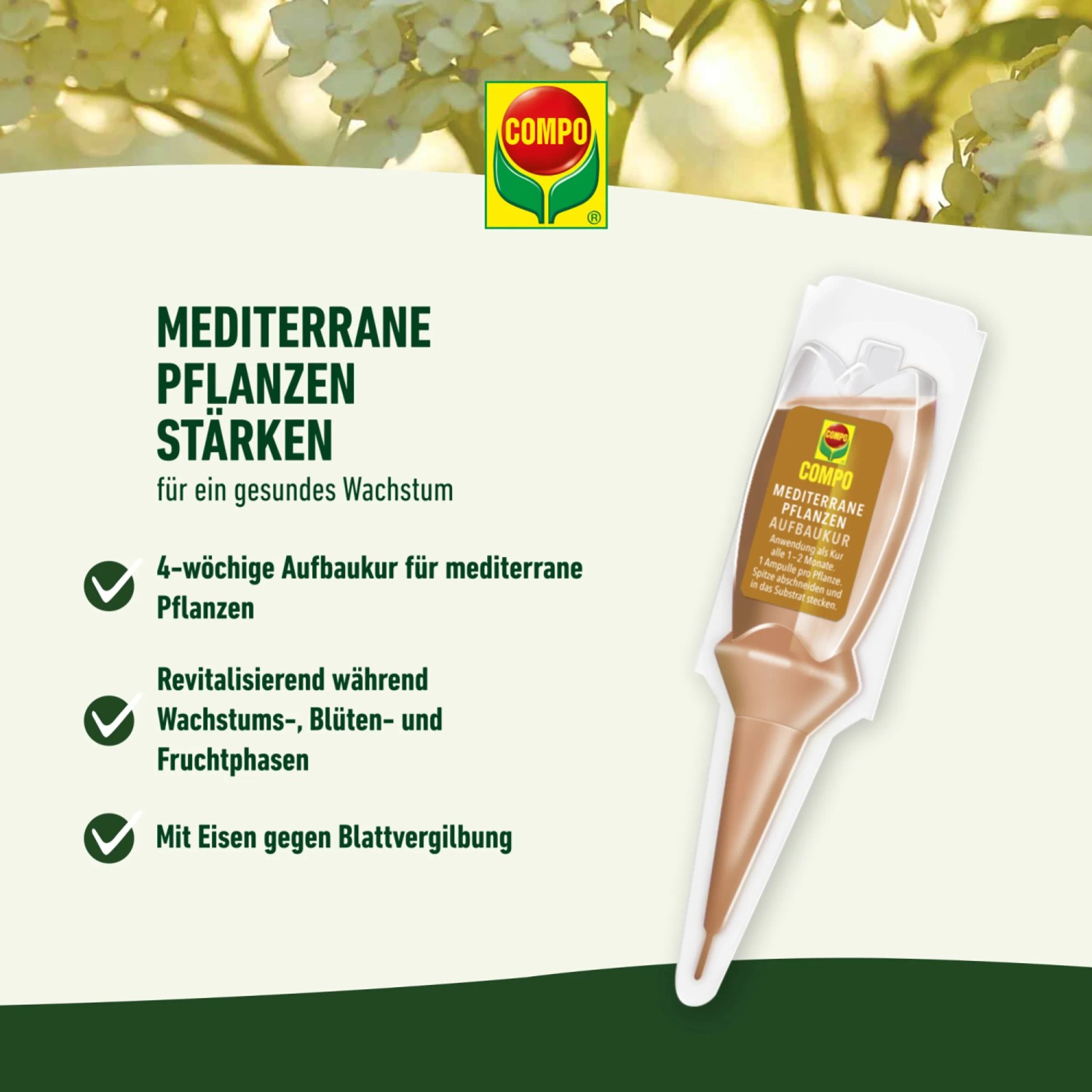 Compo Mediterrane Pflanzen Aufbaukur, 30ml Ampulle für mediterrane Pflanzen.