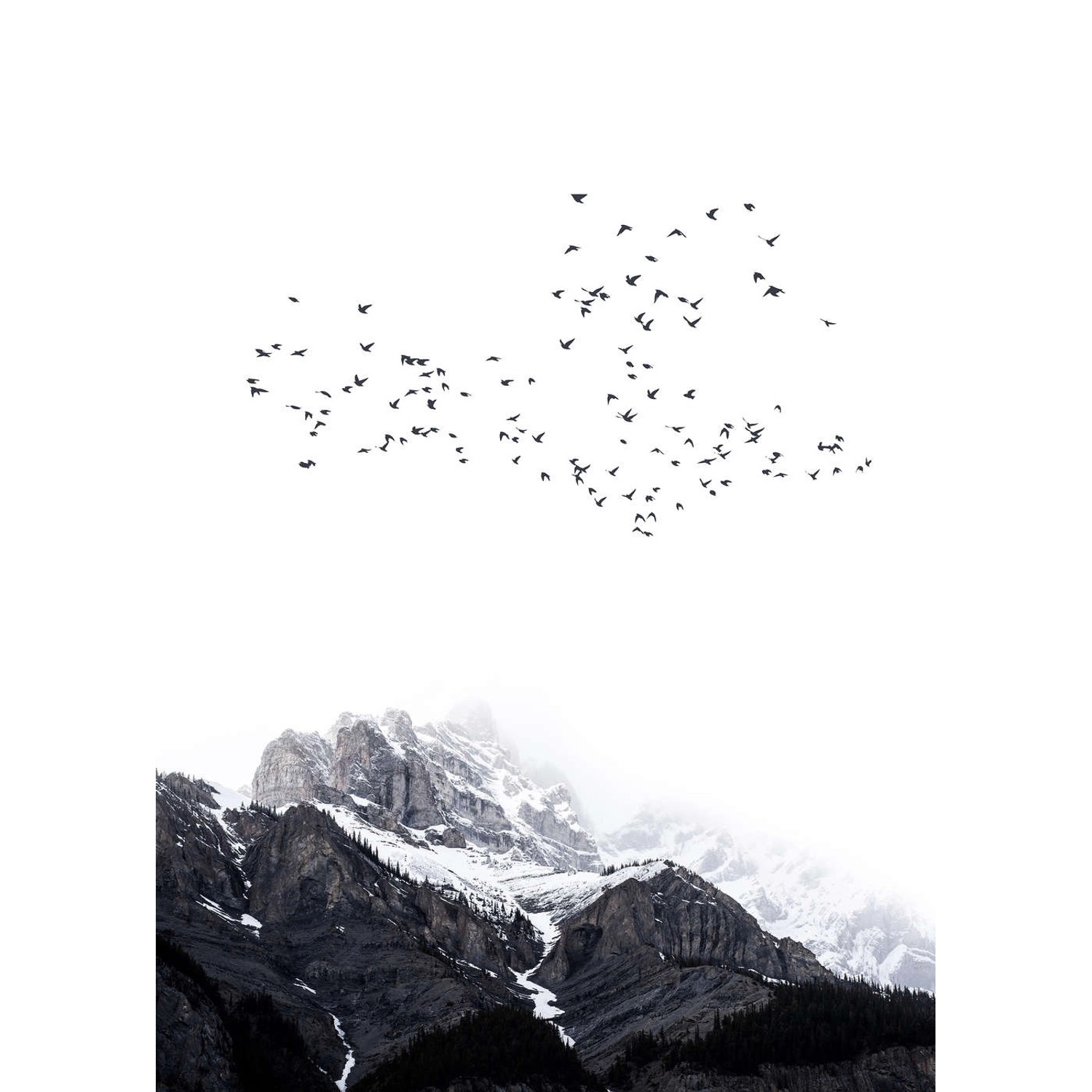 Fototapete Berge Vögel Schnee Nebel Schwarz Weiß Grau 2,00 m x 2,80 m FSC®