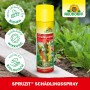 Neudorff Spruzit Schädlings-Spray 400ml gegen Blattläuse und andere Schädlinge.