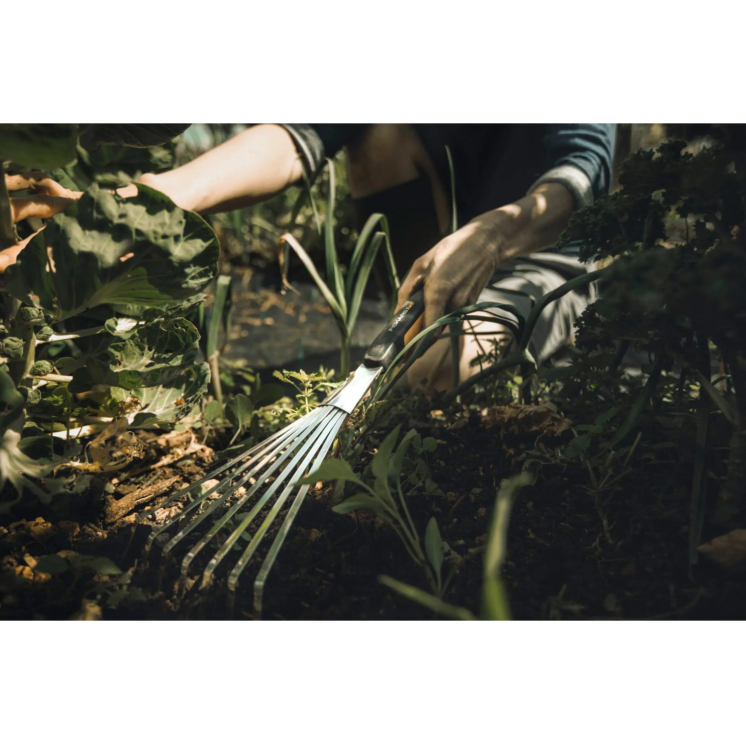 Fiskars Xact Hand-Fächerbesen mit 7 Zinken im Einsatz im Garten.