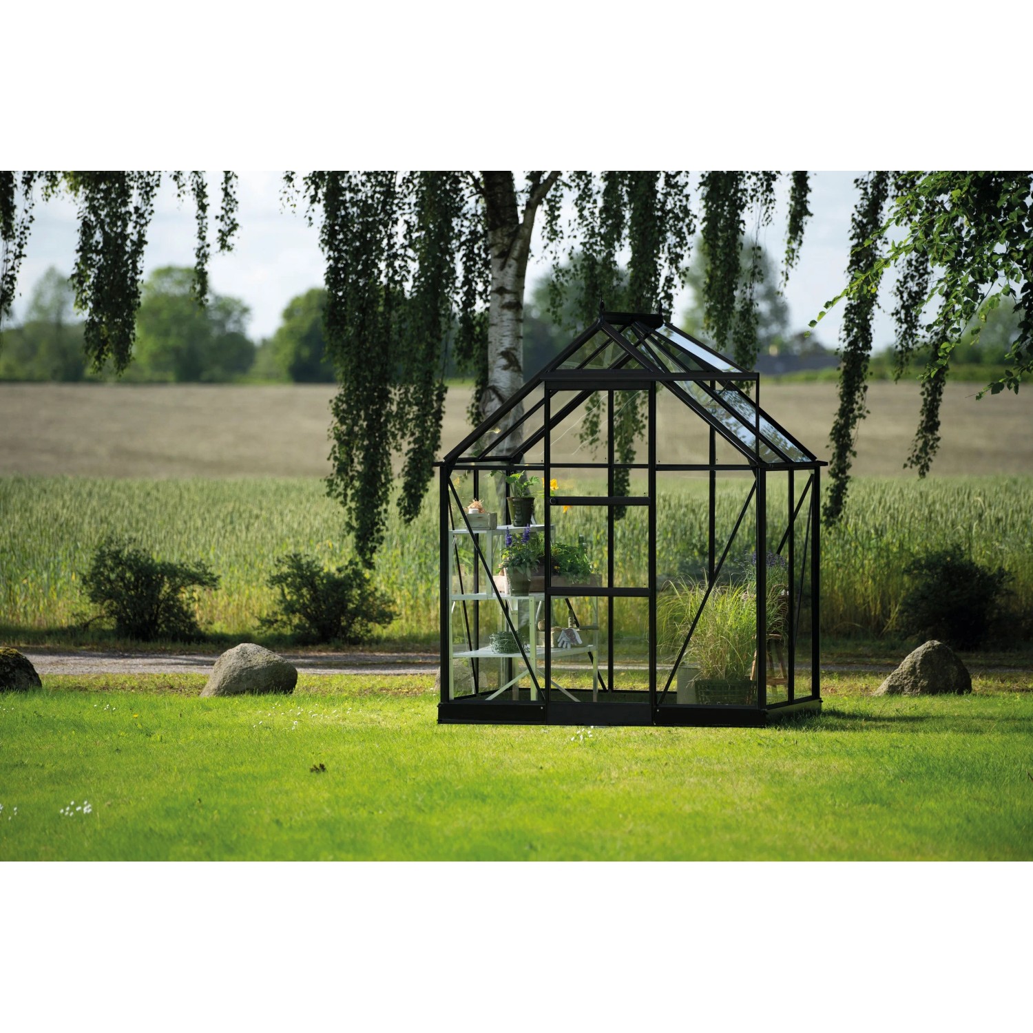 Halls Gewächshaus Icon 6 Schwarz 2,5 m²