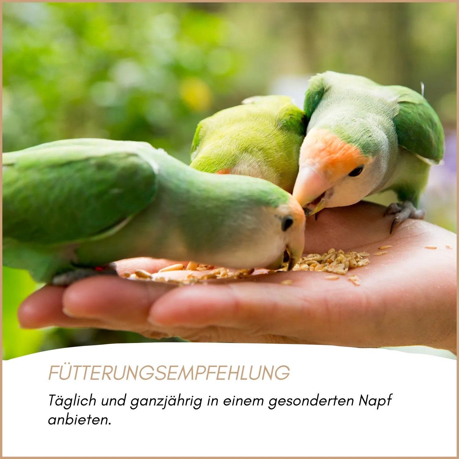 Supravit Supra Gritmineral Mineraliengrit für Vögel_6