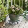 Wagner Multi Roller, verzinkt, mit Gitterrost unter Pflanzkübel auf Terrasse.