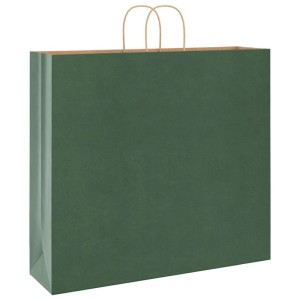 vidaXL Papiertragetaschen 250 Stk mit Henkeln Grün 54x15x49 cm 4101738