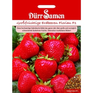 Dürr Samen Erdbeeren Florian F1 Saatgutpackung mit reifen, roten Erdbeeren und Samenansicht.