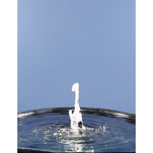 Ubbink Elimax 1500 Springbrunnenpumpe im Betrieb mit Fontäne im Gartenteich.