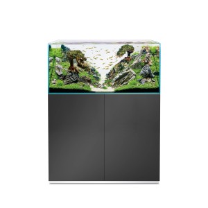 Oase Aquarium-Set ScaperLine 100 Grau 250 l