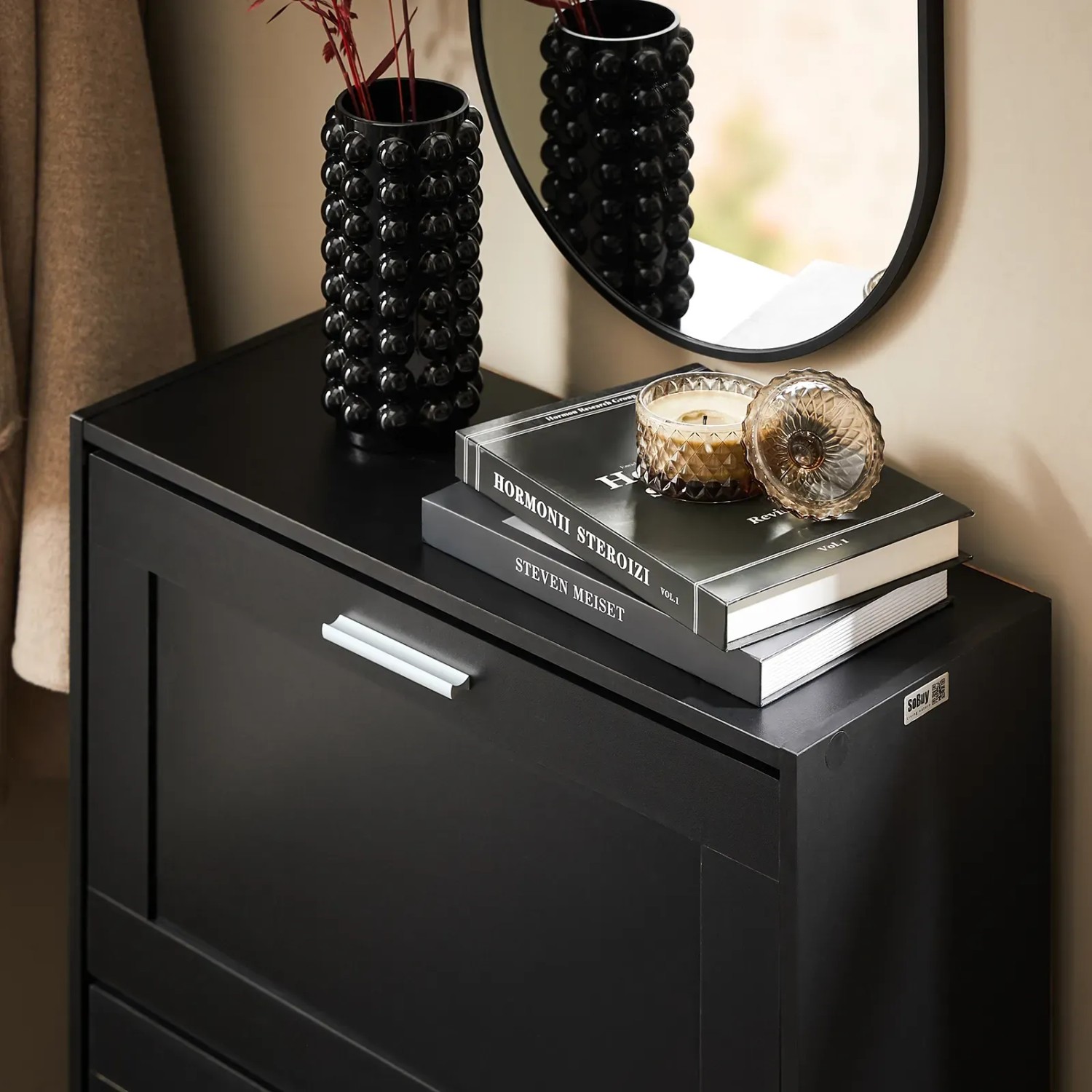 Schwarzer SoBuy Schuhschrank mit zwei Klappen und silbernen Griffen, dekoriert mit Büchern und Accessoires.