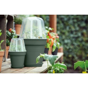 Elho Anzuchttöpfe Green Basics, Ø 27 cm, laubgrün, mit durchsichtiger Haube für Pflanzenanzucht.