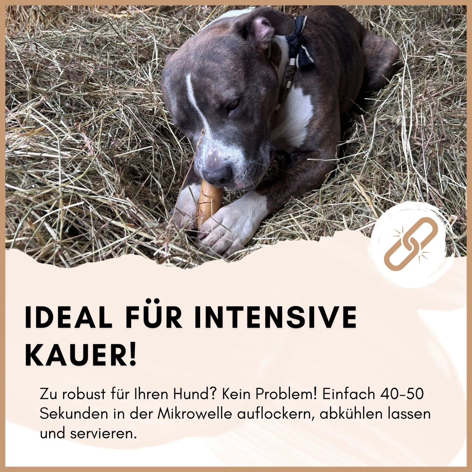 Supravit Yak Kaukäse Größe L für Hunde_7