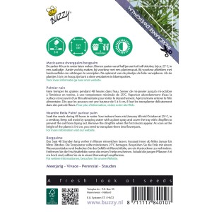 Bergpalme Buzzy House Plants Samen Ca. 15 Samen Zimmerpflanze