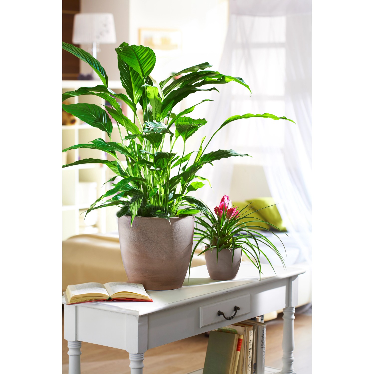 Scheurich Übertopf 920 Earth, Ø 28 cm, mit Zimmerpflanzen auf Tisch im Wohnraum.