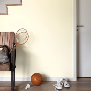 Wand in Lichtgelb (Alpina Feine Farben No. 32 Zartes Leuchten®) mit Accessoires wie Ball und Tennisschläger.