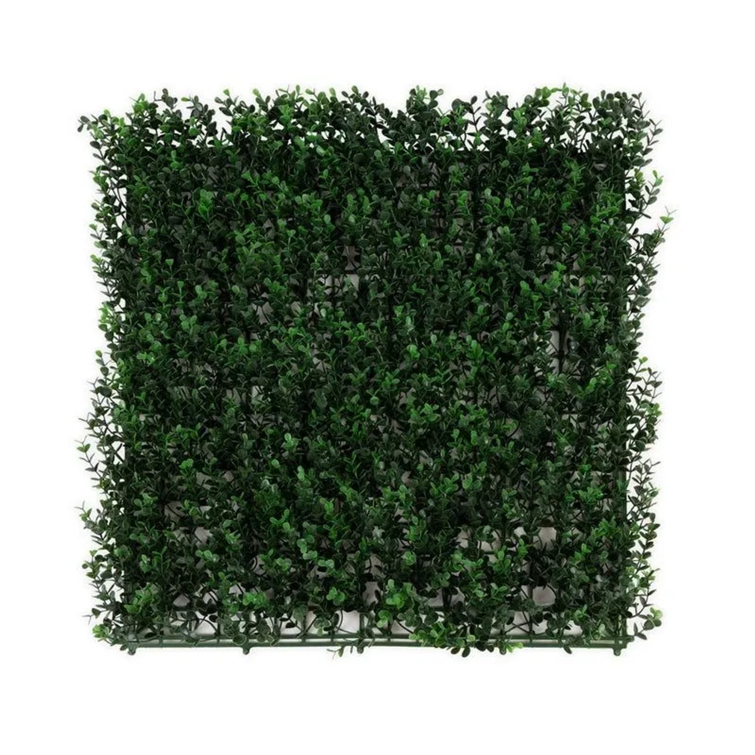 KARAT Pflanzenwand Buxus Kunstpflanze zur Dekoration 50 x 50 cm