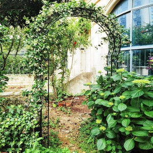 Schwarzer Costway Rosenbogen, halbrund, mit Kletterpflanzen im Garten.