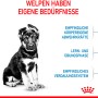 Welpe großer Rasse sitzt neben Hinweisen zu Royal Canin Maxi Puppy Trockenfutter.