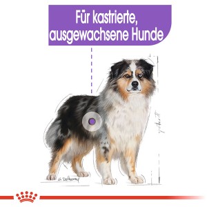Royal Canin Sterilised Medium Trockenfutter für kastrierte, mittelgroße Hunde.