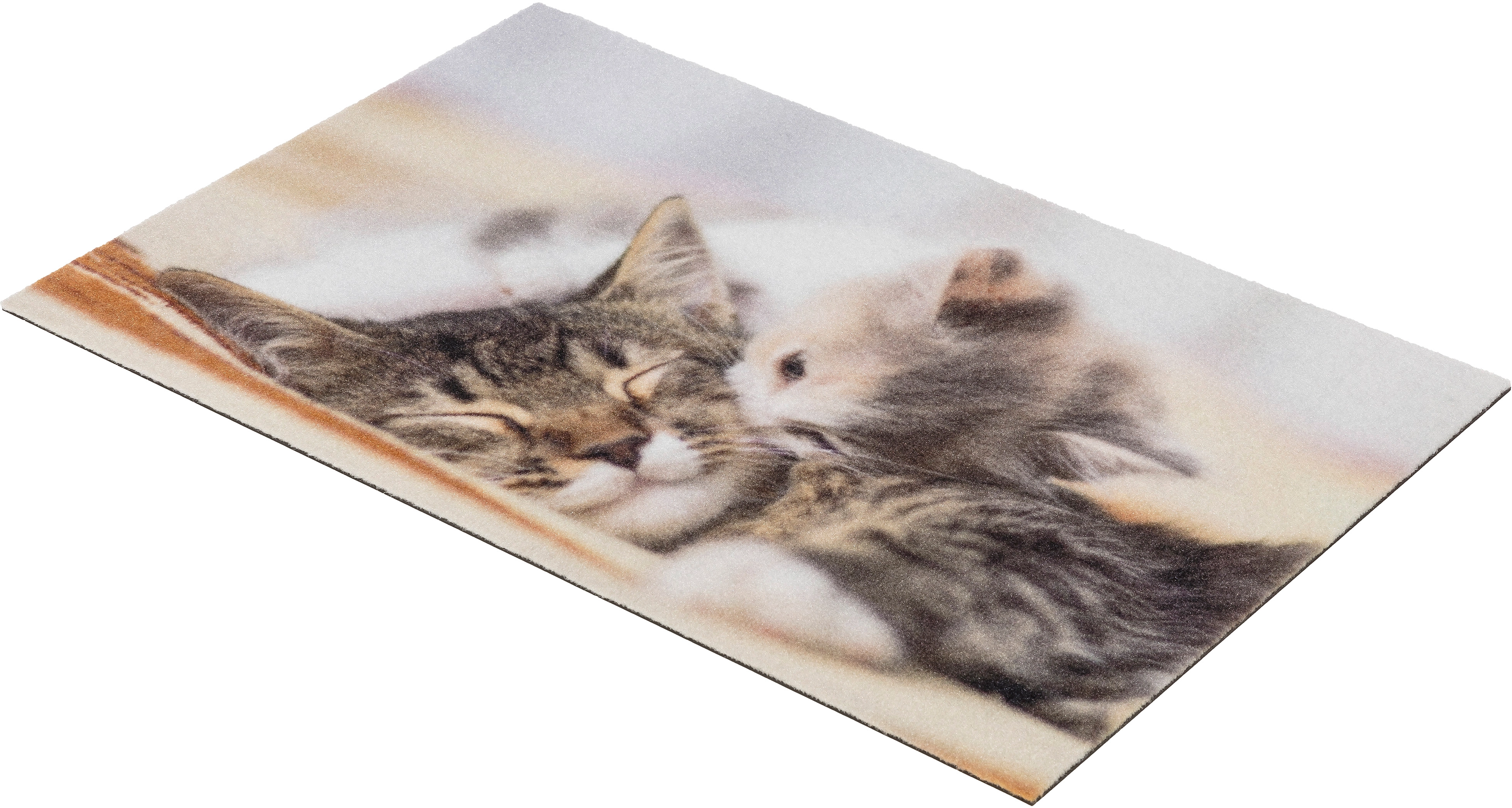 Astra Sauberlaufmatte Deco Print 40 x 60 cm Kitten kaufen bei OBI