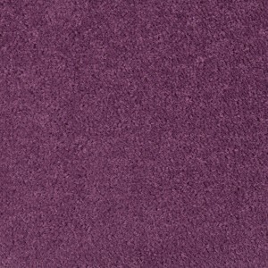 Lila Teppichboden Denver als Meterware, 400 cm breit.