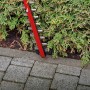 Einhell Akku-Heckenschere GP-CH 18/61 Li BL-Solo beim Heckenschnitt. Rot, silberne Klingen.