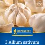 Kiepenkerl Winterknoblauch Messidrome, weiße Steckzwiebeln, 3 Stück. Ideal zum Pflanzen im Herbst.
