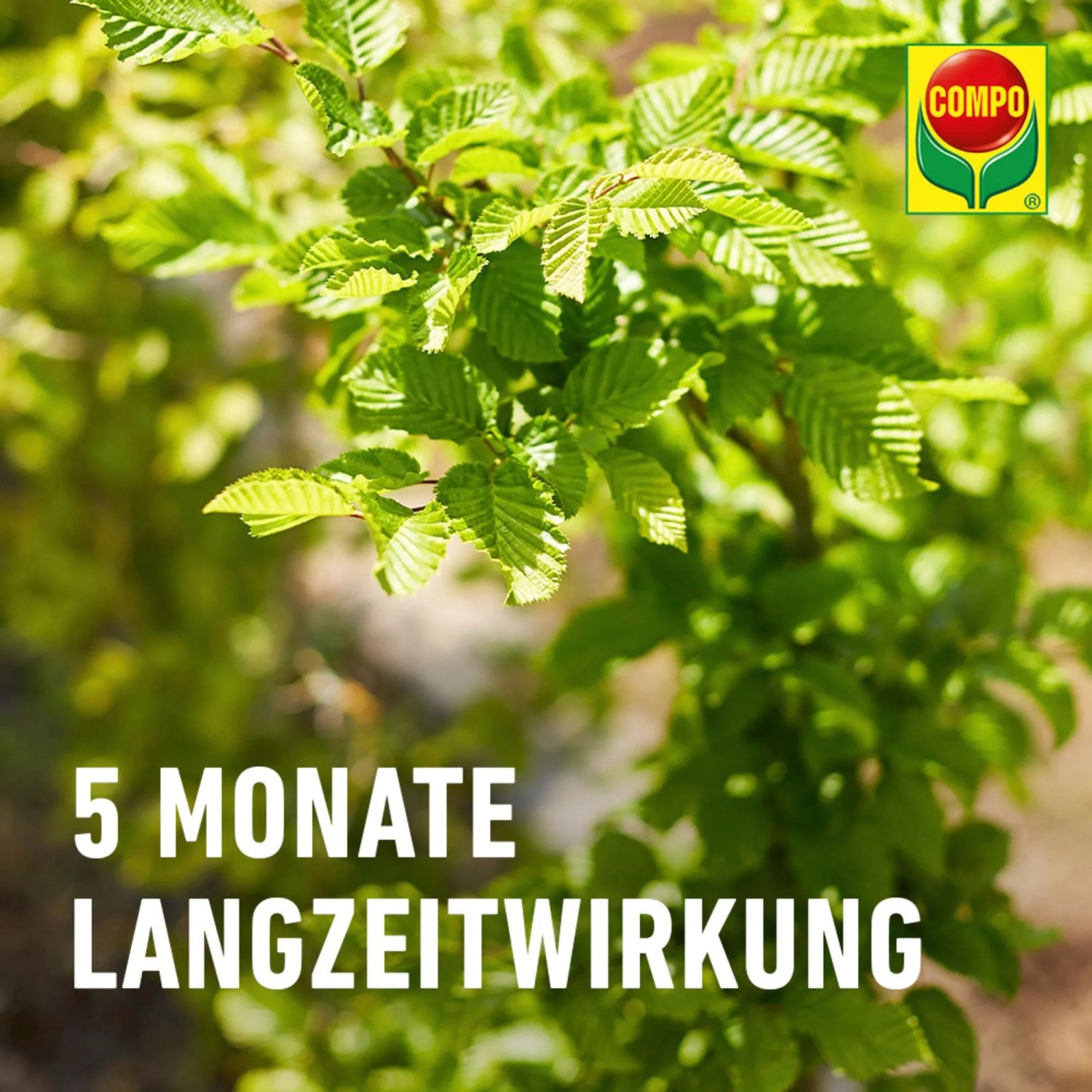 Compo Bio Gehölz Langzeit-Dünger für gesunde Pflanzen, 2 kg Packung.