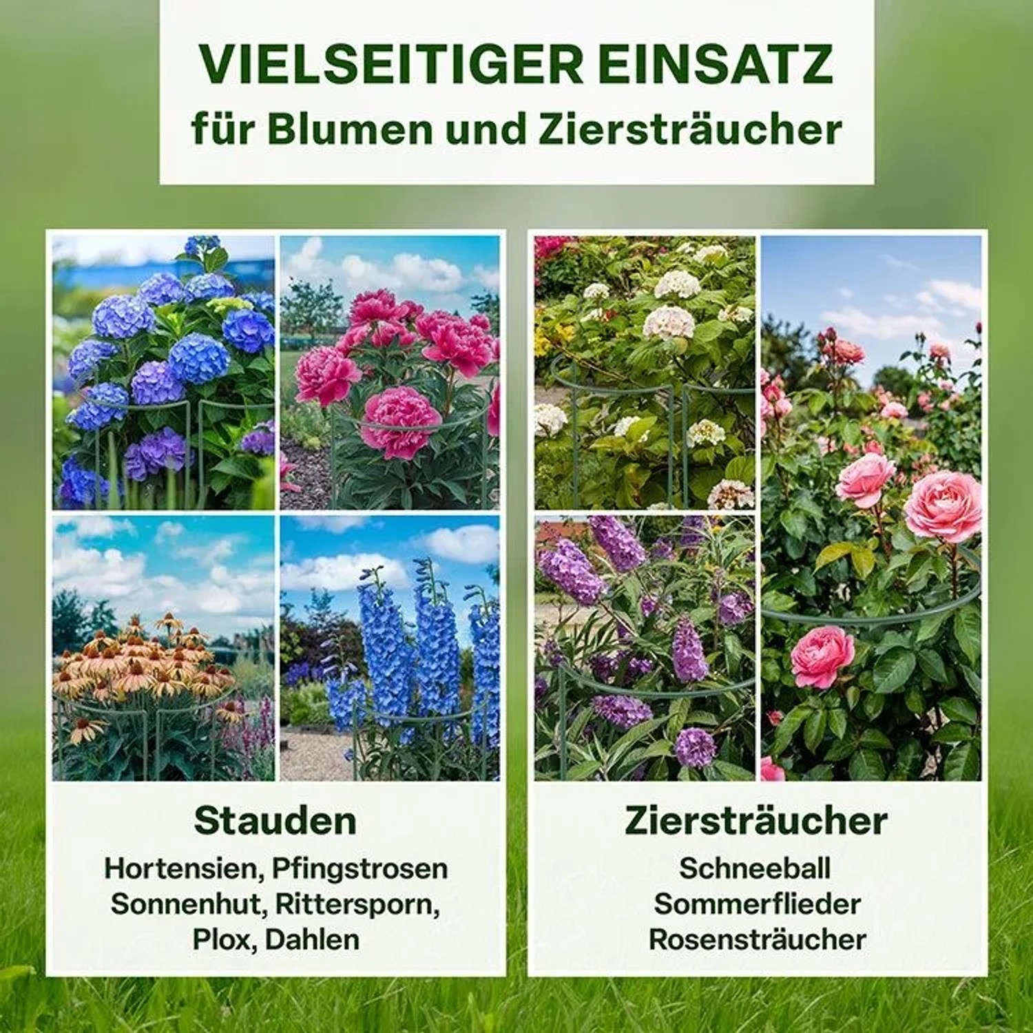 TTL GARDEN Strauchstütze 70x40cm 10er Set Inkl. 10m Klettband Pflanzenhalter für Stauden Sträucher Rosen Rankhilfe Metall_6