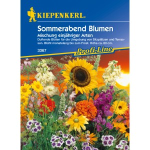 Sommerabend Mischung Blumensamen: Vielfältige, farbenfrohe Sommerblumenmischung für Garten und Balkon.