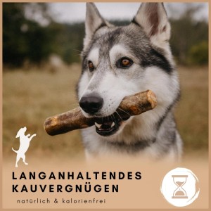 Supravit Olivenholz Größe L  Kauspielzeug für Hunde