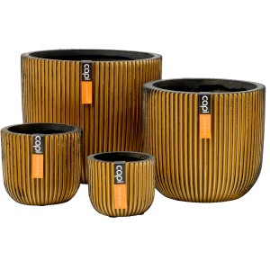 Capi Gemischte Box: 4 goldene Übertöpfe der Serie Groove mit vertikalen Rillen.