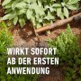 Anwendung von Compo Bio Kräuterdünger für gesundes Kräuterwachstum.