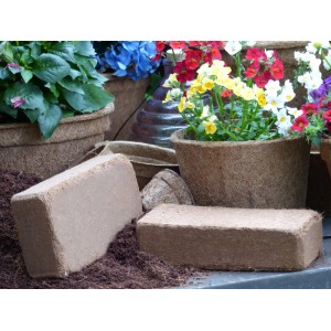 Proflora Kokosziegel - torffreie Blumenerde 288 l (36 Ziegel x 8 l)