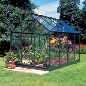 Grünes Halls Gewächshaus Popular 86 mit Pflanzen und Fundamentrahmen im Garten.