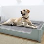 Graues Erst-Holz Haustierbett 100x60 cm mit Rollrost und Matratze, ein Labrador liegt entspannt darin.