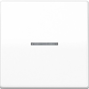 Jung Wippe AS500 Alpinweiß mit Lichtleiter für Schalter und Taster.