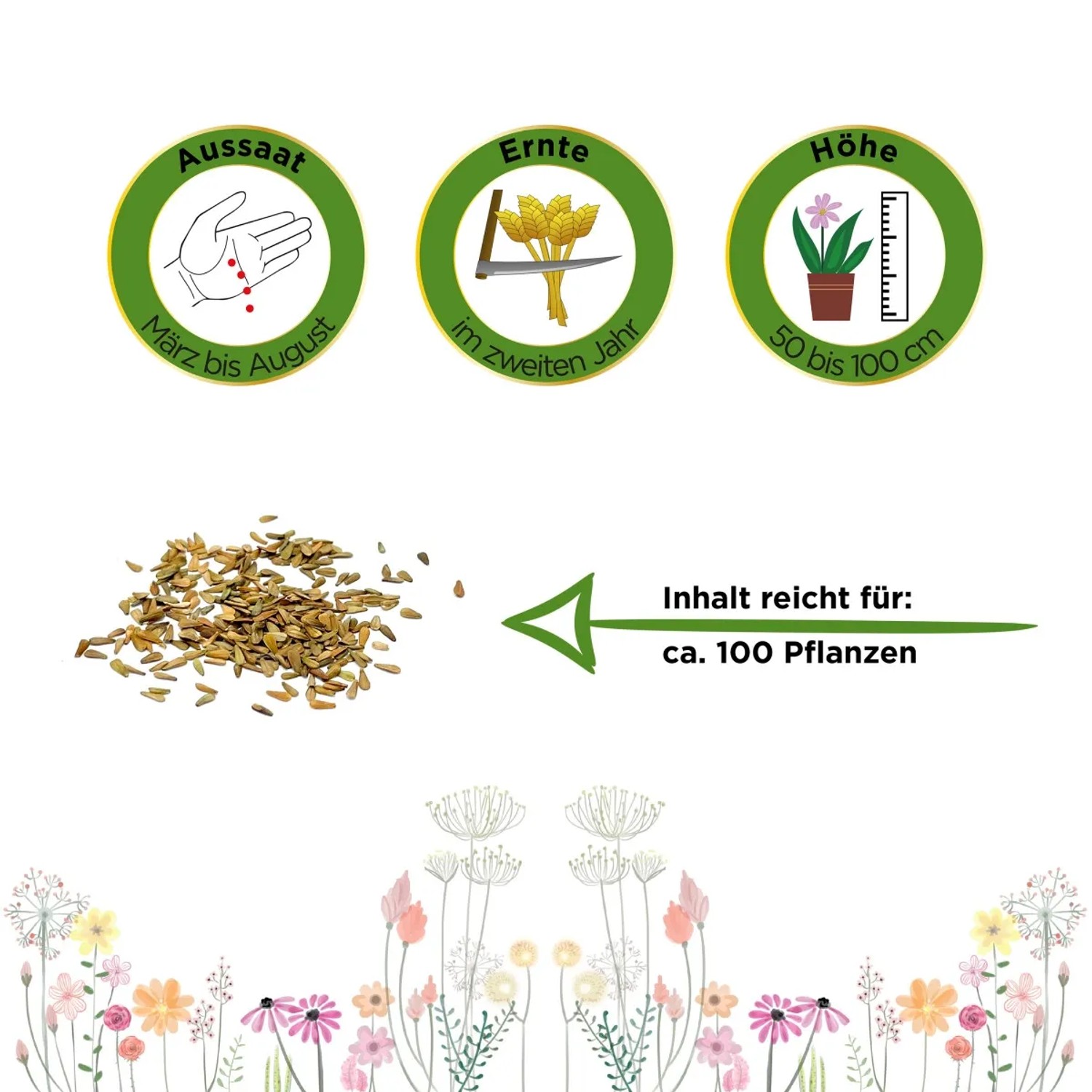 Deine Gartenwelt Baldrian Samen: Aussaat, Ernte und Höhe der Pflanze dargestellt.