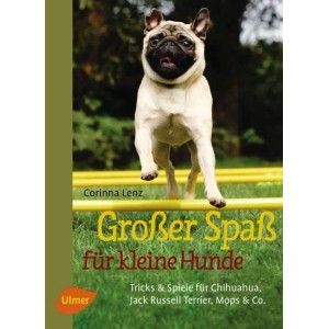 Großer Spaß für kleine Hunde