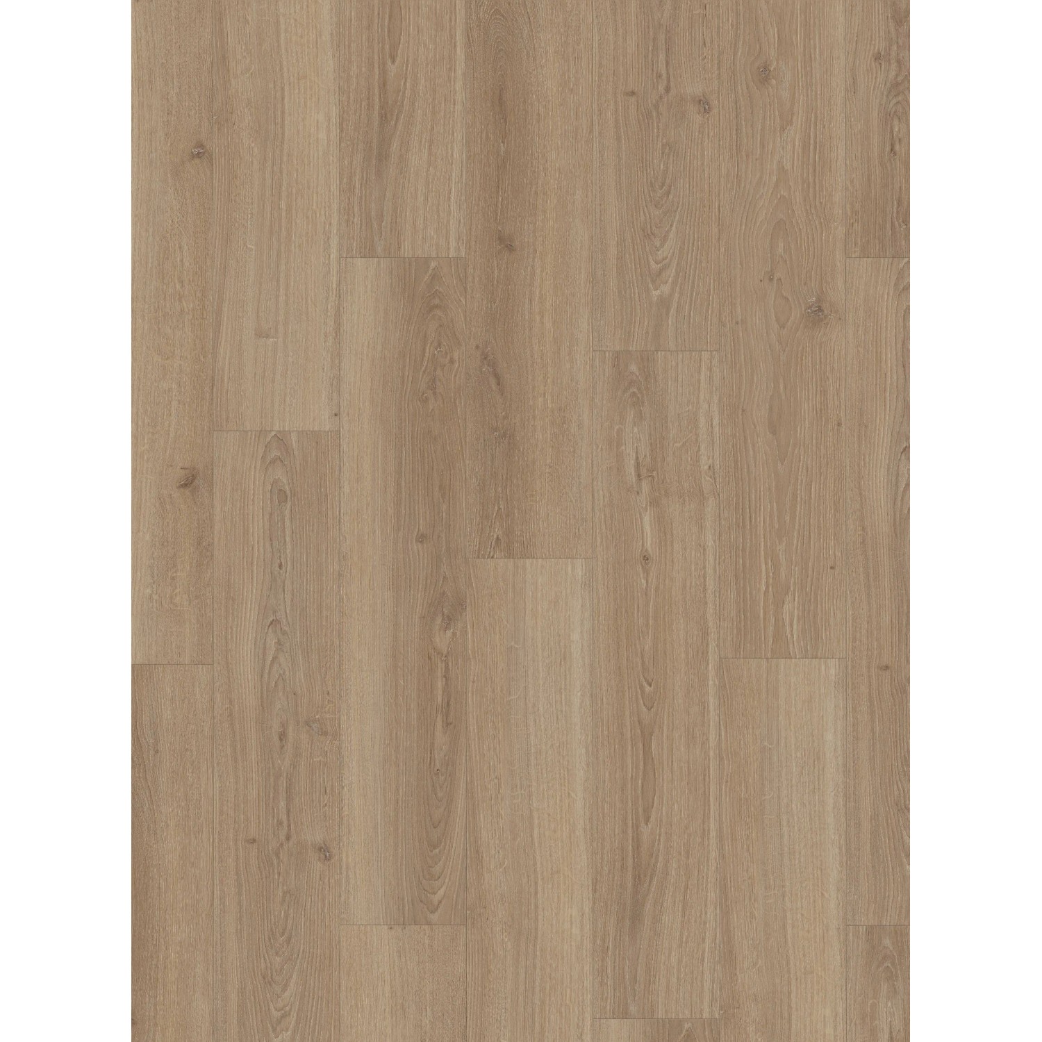 Parador Laminatbodenmuster Basic 600 Eiche Studioline Braun-Grau