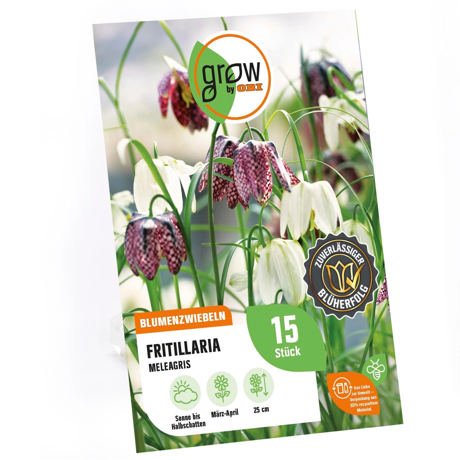 GROW by OBI Schachblume Mischung 25 cm Fritillaria meleagris