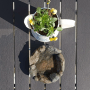 Intergarden Vogelbad Klein in Steinoptik mit Pflanze im Topf, Vogeltränke für Garten und Balkon.