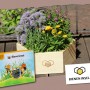 Bieneninsel Pflanzset mit Holzwabe und blühenden Pflanzen als Futteroase für Bienen und Insekten.