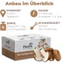 Hawlik Pilzbrut Bio Shiitake Pilzzuchtset mit Substrat und Myzel Inkl. Anbau-Anleitung_2