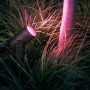 Philips Hue Lily LED-Spot, 3-flammig, schwarz, mit farbigem Licht im Garten.