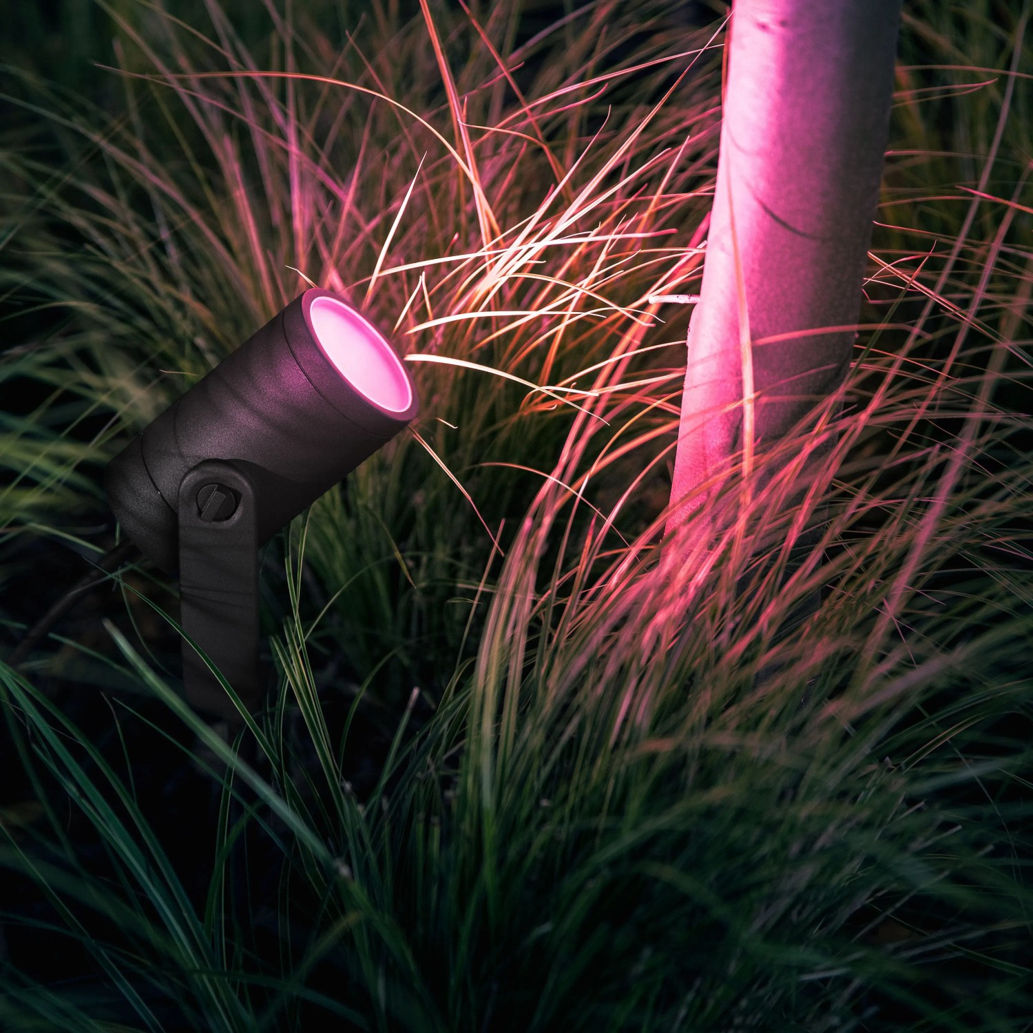 Philips Hue Lily LED-Spot, 3-flammig, schwarz, mit farbigem Licht im Garten.