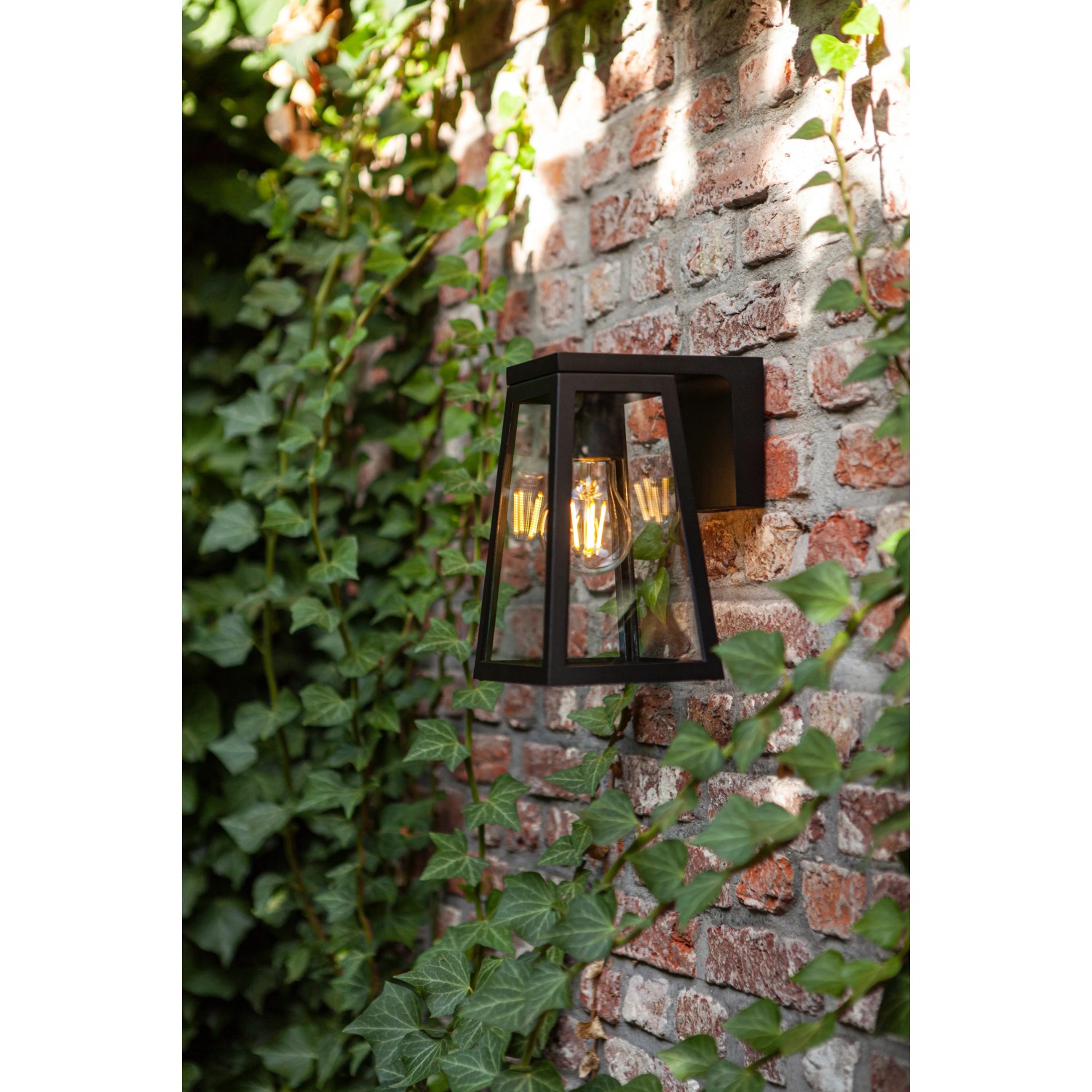 Lutec Fia LED Solar-Wandleuchte, anthrazitfarben, an Backsteinwand mit Efeu.